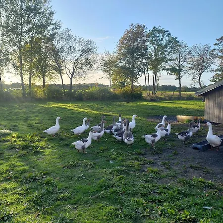 Weidehof Grosser Heuboden Daire *